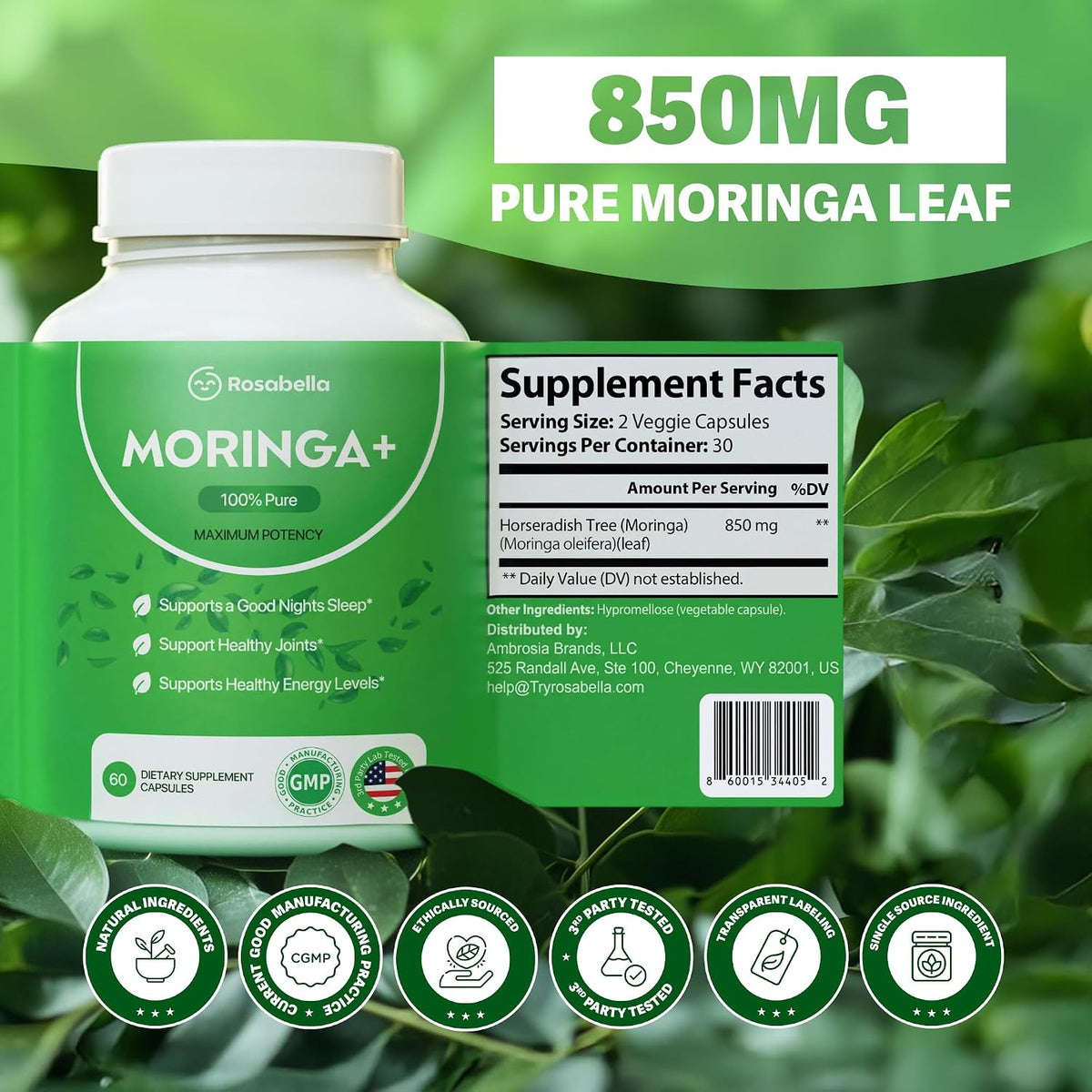 Rosabella Moringa – Natural Cortisol Support To Help Restore Balance Inside and Out